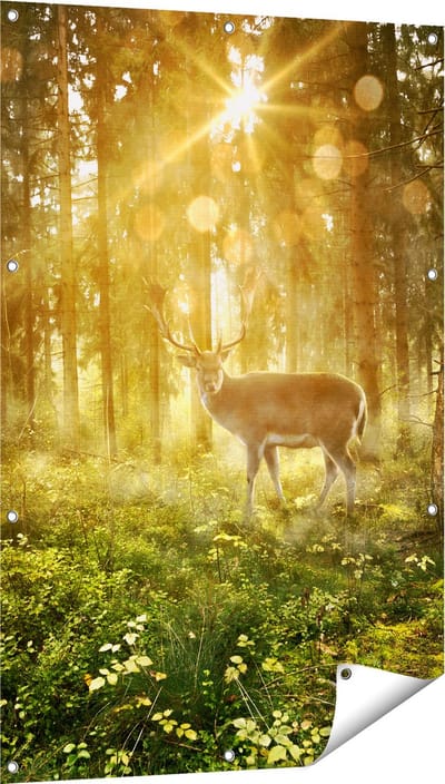 Gards Tuinposter Hert in Bos met Zon - 80x120 cm - Tuindoek - Tuindecoratie - Wanddecoratie buiten - Tuinschilderij