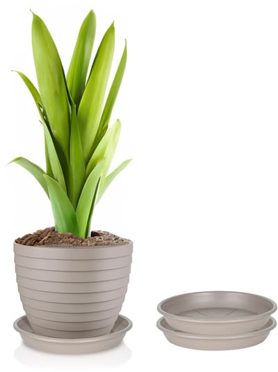 Juypal Plantenschotel - 2x - taupe - kunststof - Dia 15 cm - onderschotel/opvangschaal