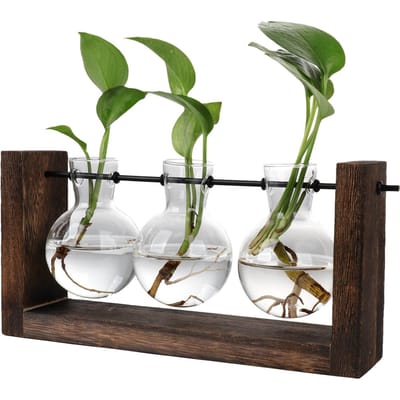 Hydroponische Vaas Eenvoudige Decoratieve Glazen Bloemenvaas Plant Terrarium met Houten Standaard gray