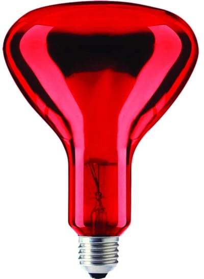 Schiefer E27 Infrarood Lamp | 100W 220V/240V R95