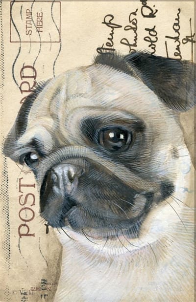 Dubbele kaart met env. Hond Mops 11,5x17,5cm