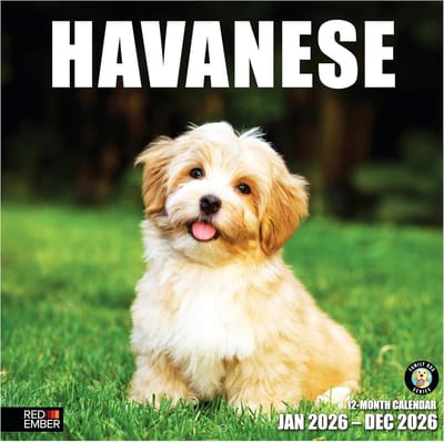 Havanezer Wandkalender 2026 - 12 Maanden - 30,5 x 61 cm - Dik en Stevig Papier - Hondenliefde
