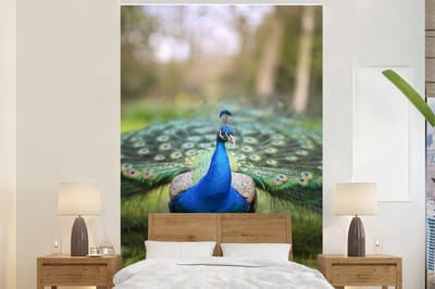 Behang - Fotobehang Pauw - Ogen - Gras - Breedte 145 cm x hoogte 220 cm