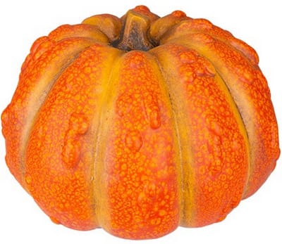 Pompoen Grainy Oranje 24,1x23,6xh15,8cm Rond Keramiek