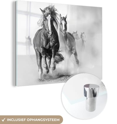 MuchoWow® Glasschilderij 160x120 cm - Schilderij acrylglas - Paarden - Dieren - Illustratie - Foto op glas - Schilderijen