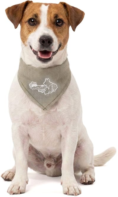 CoolPets Koelband Hond S - Cooling Bandana Hond - Verkoelende Bandana Hondenhalsband - Koelhalsband - Verkoeling Hond - 45 x 20 cm - Beige