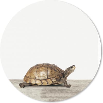 Muismat rond 20x20 cm - Mousepad Dieren - Schildpad - Wit - Ronde muismatten