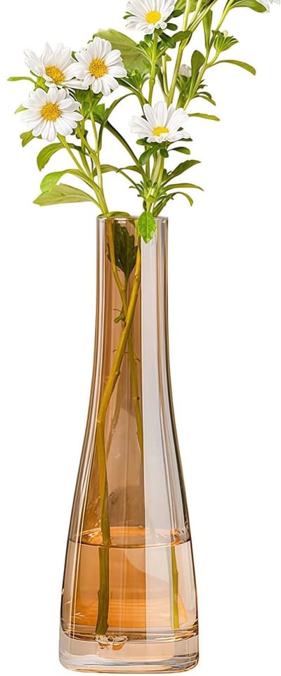 Dailygoods- Glazen Vaas Handgemaakt - Bloemenvaas Glas - Decoratieve Vaas - Hoogte 21cm - Slanke Taillevorm - Geschikt voor 1-2 Boeketten