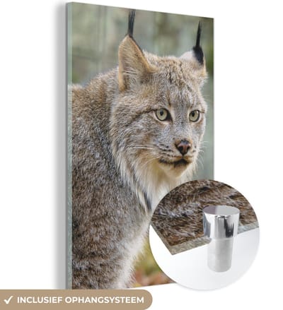 MuchoWow® Glasschilderij 120x180 cm - Schilderij acrylglas - Lynx - Bos - Grijs - Foto op glas - Schilderijen