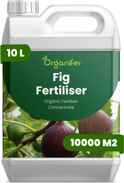 Vloeibare Meststof Voor Vijgen - 10 L Voor 10000 M2 - Npk 2-1-8 - Gezond Blad En Frui - Bevordert Groei En Fruitkwaliteit - Versterkt Het Wortelstelsel - Vergroot De Weerstand - Verhoogt De Algehele Vitaliteit - Organifer
