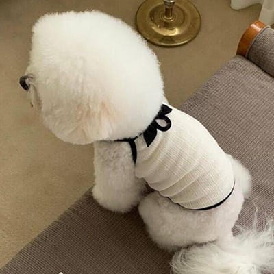 Gilet d'été pour chien Vêtements fins pour chien de compagnie pour petits chiens Vêtements pour chiot respirants Chihuahua Vêtements pour chien Accessoires pour chien XS beige