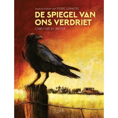 De Spiegel Van Ons Verdriet - Pierre Lemaitre