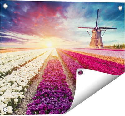 Gards Tuinposter Kleurrijke Tulpen Bloemenveld - Windmolen - 50x40 cm - Tuindoek - Tuindecoratie - Wanddecoratie buiten - Tuinschilderij