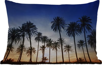 Buitenkussens - Tuin - Palmboom - Natuur - Strand - Zon - Nacht - 50x30 cm
