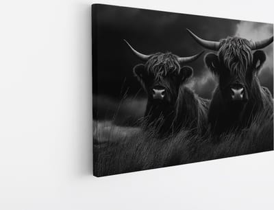 Saammp Canvas Schilderij - Hooglander koeien in hoog gras - Natuur - Dieren - 45x30 - Foto op canvas - Wanddecoratie - Muurdecoratie Woonkamer - Slaapkamer decoratie - Canvas Print