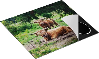Chefcare Inductie Beschermer Twee Schotse Hooglanders in de Bossen - 60x50 cm - Afdekplaat Inductie - Kookplaat Beschermer - Inductie Mat