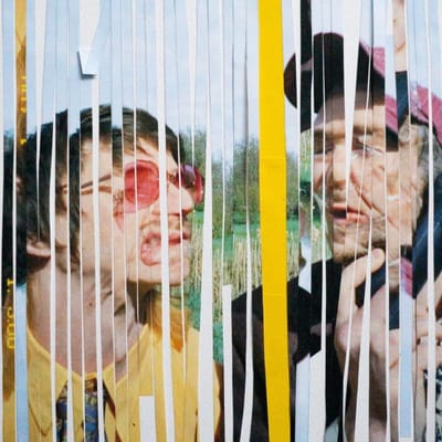 Yolande Bashing - Le Territoire (LP)