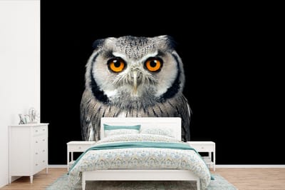 Behang - Fotobehang Uil - Vogel - Oranje - Zwart - Breedte 450 cm x hoogte 300 cm