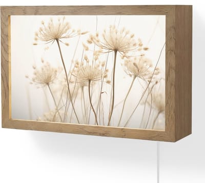 Wandlamp 30x20 cm - Oplaadbaar - Bloemen - Wit - Zonlicht - Wandlampen binnen woonkamer - Slaapkamer lamp met kabel - Decoratieve nachtlamp - Vloerlamp snoer