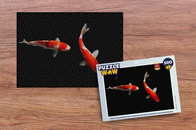 Puzzel Twee kleurrijke koi karpers bij een zwarte achtergrond - Legpuzzel - Puzzel 500 stukjes