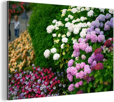 Aluminium schilderij 180x120 cm - Wanddecoratie metaal - Levendige hortensia bloemen - Metalen muurdecoratie woonkamer - Decoratie industrieel - Foto op dibond - Industriële accessoires slaapkamer