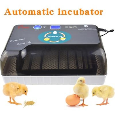 Incubateur automatique domestique, couveuse de ferme, Machine d'éclosion de 12 œufs, couveuse d'œufs de poulet, d'oie, d'oiseaux, de caille EU PLUG 220V