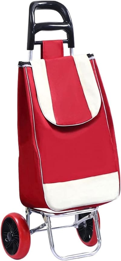 Opvouwbare Kar - Draagbare Trolley - Boodschappen Doen - Met Thermische Voering - 34x18x53cm - Grijs