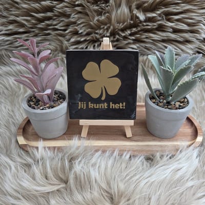 Robuust Wenstegeltje “Jij kunt het” en klavertje 4 – Motiverend cadeau – Keramisch 10x10 cm – Trendy nu – Stimulerend – Decoratief Tegeltje met Standaard – Cadeau Idee