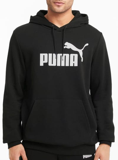 Capuchon sweaters Puma Essentials Big Logo Hoodie
