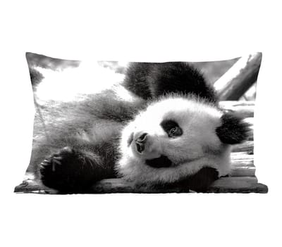 Sierkussens - Kussen - Dierenprofiel rollende panda in zwart-wit - 60x40 cm - Kussen van katoen