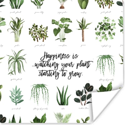 Poster Quotes - Happiness is... watching your plant starting to grow - Spreuken - 100x100 cm XXL