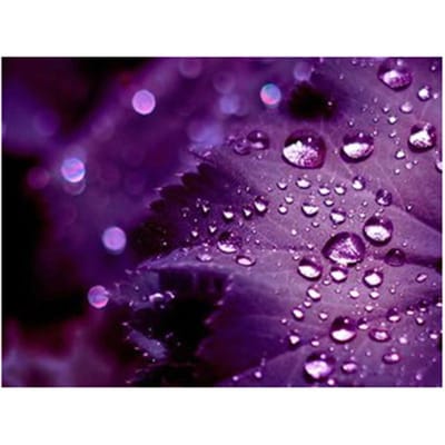Volledige ronde boor 5D DIY diamant schilderij paars blad kruissteek kristal diamant 20X30CM pink