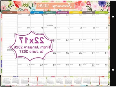 Bureaukalender - Plankalender Kantoor - Planning en Organisatie - Ruime Schrijfblokken - 22 x 17 Inch - Multicolor