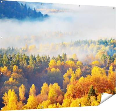 Gards Tuinposter Gekleurde Herfstbos met Mist - 150x120 cm - Tuindoek - Tuindecoratie - Wanddecoratie buiten - Tuinschilderij