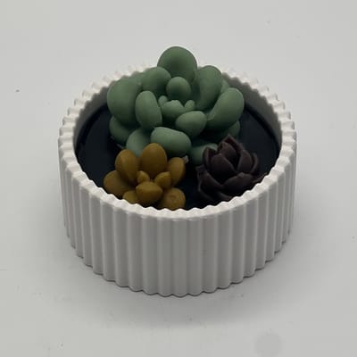 Kaars in glazen pot - cactus - 497