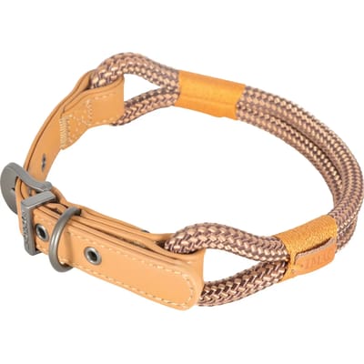 Verstelbare hondenhalsband Zolux Imao Hydepark 6mm