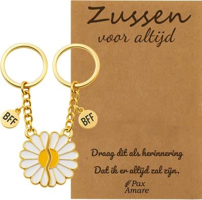 BFF Sleutelhanger voor 2 'Zussen voor altijd' - Magnetische Bloem - Sleutelhanger set op Cadeau Kaartje Sleutelhanger set - Goudkleurig - Vriendschap Symbool - Pax Amare