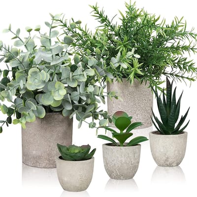 Allecto - Kunstplanten Set - Fake Planten voor Binnen - Decoratieve Planten - Kunststof - Mini Succulenten - Perfect voor Thuis - 5 Stuks