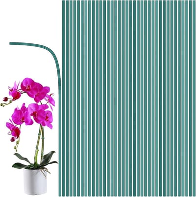 SnelShoppen - 20 Stuks Plantsteunen voor Planten - Metaal Tuinstokken Coated Staal - Ideaal voor Bloemen, Potplanten, Klimplanten en Wijnstokken