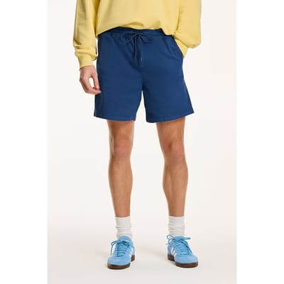 Shiwi Shorts Josh Royal Blue Size: S | Shorts Outlet | Heren | Blauw