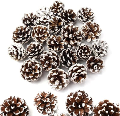 Mini Kerst Dennenappels - Natuurlijke Decoratie voor DIY Projecten, Feestdagen en Herfstdecoratie - 32 Stuks van 3-4 cm