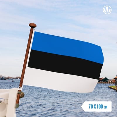 vlag Estland 70x100cm - Spunpoly