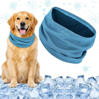 Koelhalsband Hond - Verkoelende Hondenhalsdoek - Hittebescherming - Ademend Koelgaren - L - Blauw