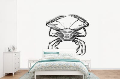 Behang - Fotobehang Ernst Haeckel - Vintage - Kunst - Krab - Breedte 360 cm x hoogte 240 cm