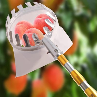 Fruitplukker met mand - Oogstgereedschap boom - Fruit verzamelen - Telescopische steel - Tot 10 meter - Zilver