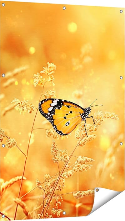 Gards Tuinposter Oranje Vlinder in het Oranje Veld - 80x120 cm - Tuindoek - Tuindecoratie - Wanddecoratie buiten - Tuinschilderij