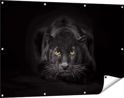 Gards Tuinposter Zwarte Panter met Oranje Ogen - 120x80 cm - Tuindoek - Tuindecoratie - Wanddecoratie buiten - Tuinschilderij