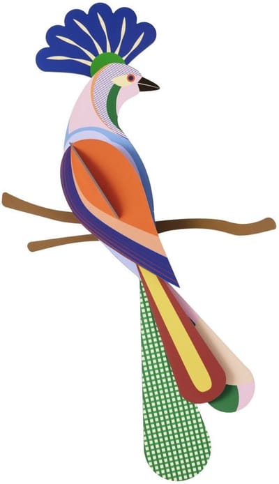 Paradise Bird - Meti