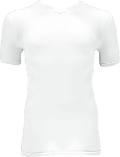 Apollo Heren T-shirt Bamboo Basic V-hals Wit XXL 2 stuks