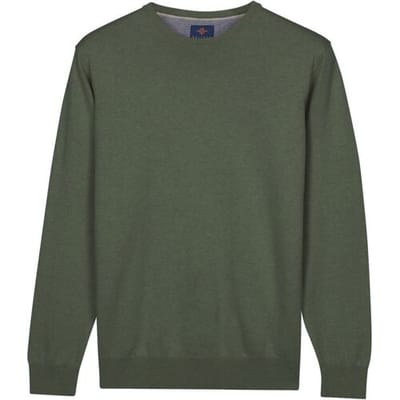 Baileys Trui Uni Color Crew Neck Pima Cotton Thyme Green / male
